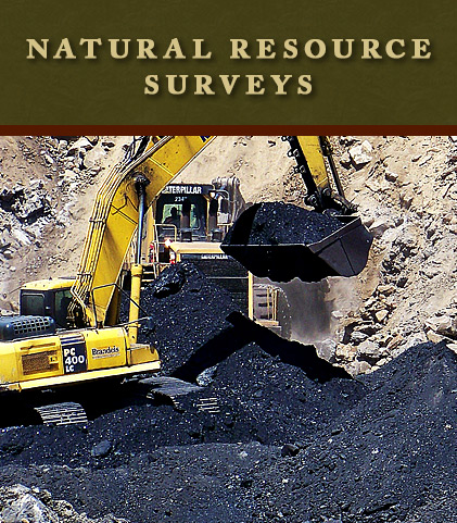 Natural Resource Surveys